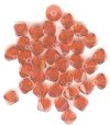 25 Indian Red 5mm B...